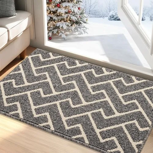 Biscpro Paillasson Intérieur Tapis Entrée Intérieur Extérieur Imperméable, Antidérapant, Absorbant, Tapis Pour Entrée, Lavable, Cuisine, Salle de Bain (60 * 90 cm, Grey)