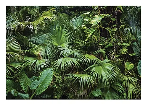 WallArena - Vlies Fototapete Wald Tropical Dschungel Grün Natur Pflanzen Blätter 254x184 cm - Fototapeten - Tapeten für Wohnzimmer Schlafzimmer Vliestapete Wandtapete Tapete 3D Effekt- inkl. Kleister