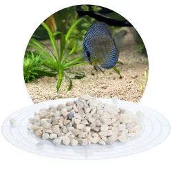 Schicker Mineral Aquariumkies beige 5,6-8,0 mm von Schicker Mineral