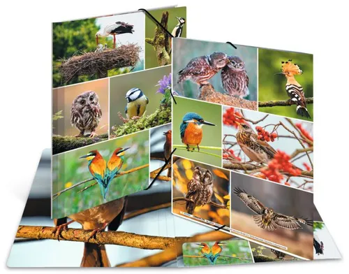 HERMA Eckspannermappe 