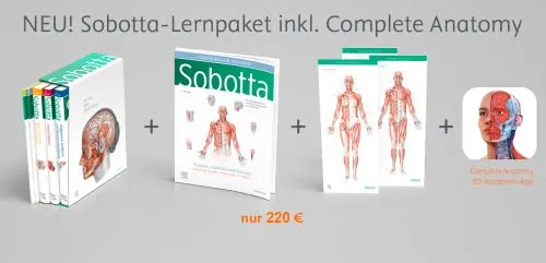 Produktbild Sobotta Atlas der Anatomie, 3 Bände + Lerntabellen + Poster Collection
