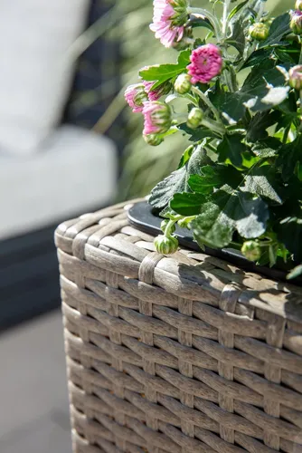 HC Garten & Freizeit Blumentopf Rattan Optik von HC Garten & Freizeit