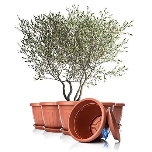 Blumentöpfe & Pflanzgefäße Orange von BigDean