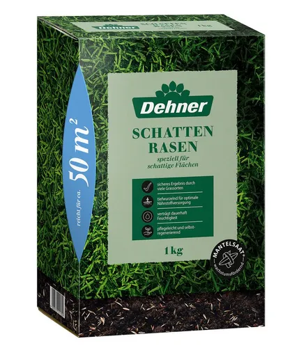 Dehner Saatgut Schattenrasen in beige von DEHN
