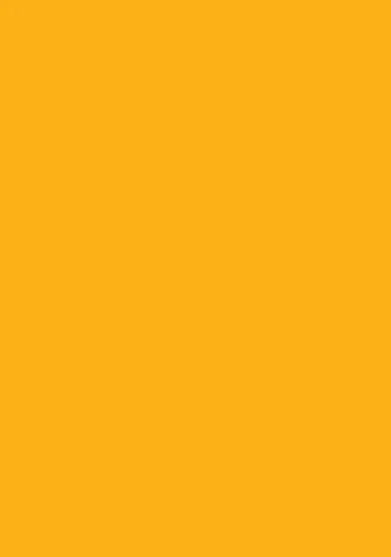 Maestro Drucker- und Kopierpapier 50 Blatt farbiges Druckerpapier 160g/m² / buntes Kopierpapier /Farbe: