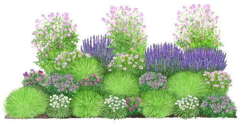 Dehner Staude Bio Stauden-Set Heimatgarten, 24 Pflanzen für sonnige Standorte - Entdecken Sie das Bio Stauden-Set Heimatgarten mit 24 robusten Pflanzen für Ihren Garten. Ideal für sonnige Plätze, sorgt es für ein buntes Blütenmeer vom Frühling bis Herbst und zieht nützliche Insekten an.