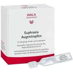 Euphrasia Augentropfen 15 ML - Arzneimittel zur Linderung von Bindehautentzündungen. Ohne Konservierungsstoffe, ideal für Kontaktlinsenträger. Unterstützt die natürliche Augenfeuchtigkeit.
