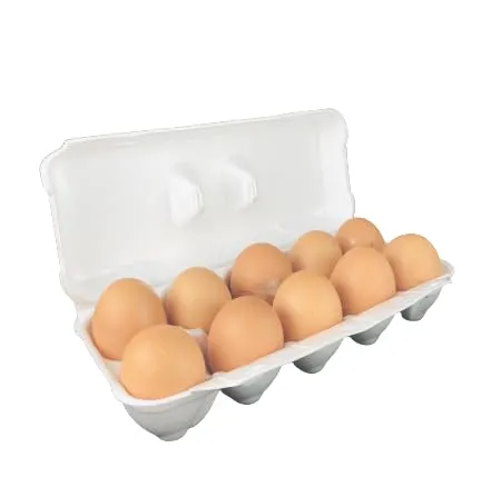 Hilliger Eierkarton Eierschachtel 10er für Gr. S - XL, Polystyrol, Weiß, Rechteckig, Praktisch, Laschenverschluss, 120 St.