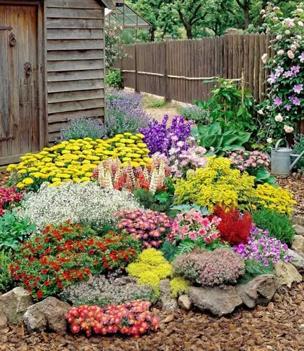 BALDUR Garten 24er Set Großer Staudengarten - Buntes Staudenbeet mit winterharten, mehrjährigen Pflanzen im 7x7 cm-Topf. Ideal für Gartenbeete und Naturgärten, bienenfreundlich und pflegeleicht.