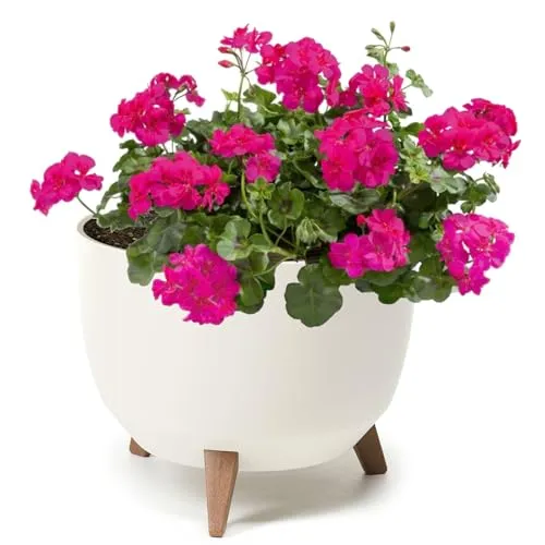 botle Blumentopf mit Füßen aus Kunststoff, Schüssel Rund mit Einsatz, Farbe (cremig, D 29 cm x H 23 cm)