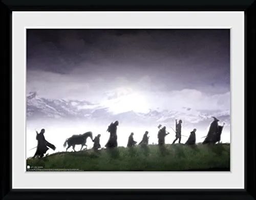GBeye Collector Print - Lord of The Rings Fellowship