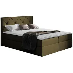 Mirjan24 Boxbett, Grün, Holz, 140x200 cm, Schlafzimmer, Betten, Boxspringbetten