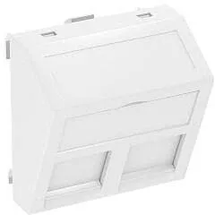 OBO Bettermann DTS-2B RW1 Datentechnikträger für 2 Anschlussmodule, Auslass schräg, Typ B (6119244)