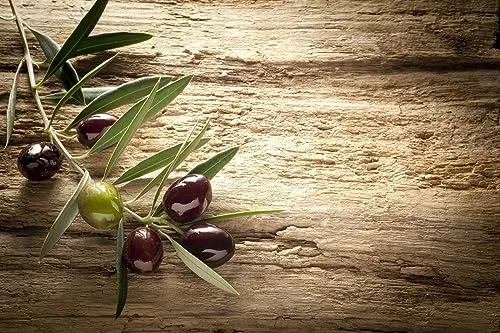 Queence | Küchen Spritzschutz Oliven 60x40x0,3 cm | Küchenrückwand | Alu-DiBond | Fliesenschutz für den Herd und Spüle | Küchenfliesen | Fliesenspiegel | Rückwand