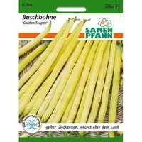 SAMEN PFANN Buschbohne Golden Teepee