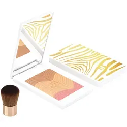 SISLEY Phyto-Touche Sun Glow Powder 02 - 11 g - Make Up - Gesichtspuder mit strahlendem Glow-Effekt für einen natürlichen, sonnengeküssten Teint.