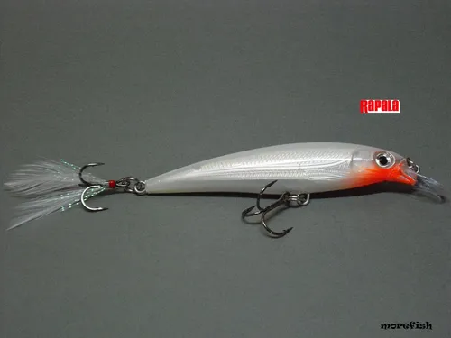 Rapala Wobbler X-Rap 10cm XR10 - GGH - Glass Ghost