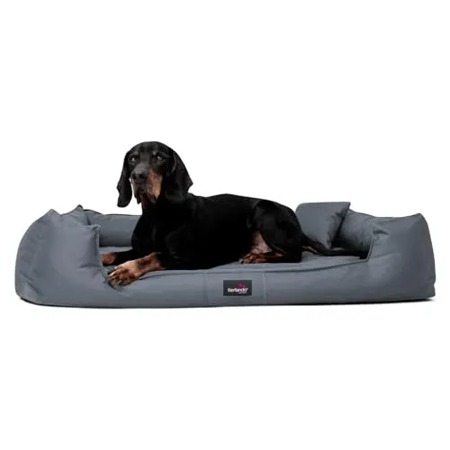 tierlando® Orthopädisches Hundebett Goofy XL-XXXL von tierlando