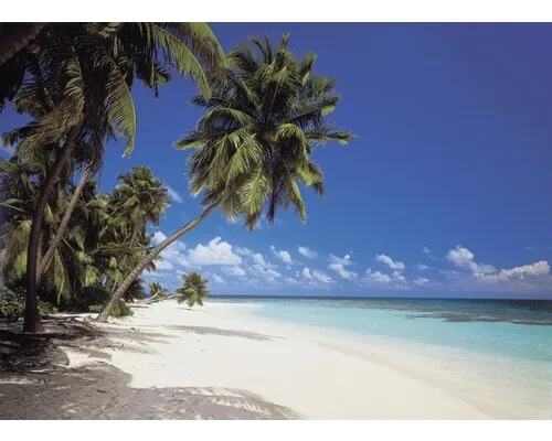 Fototapete Papier 8-240 Imagine Edition 4 Maldive von Komar