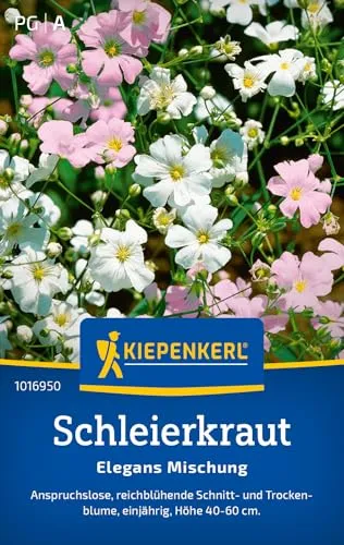 Kiepenkerl Schleierkrautsamen Elegans Mischung 1016950 - anspruchslose, reichblühende Schnitt- und Trockenblume - circa 40-60cm hoch - Saatgut, Blumensamen