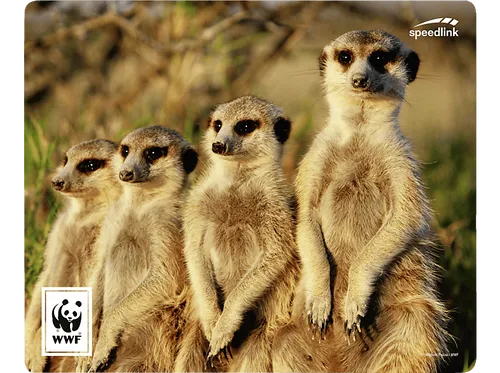 SPEEDLINK TERRA WWF von Speedlink