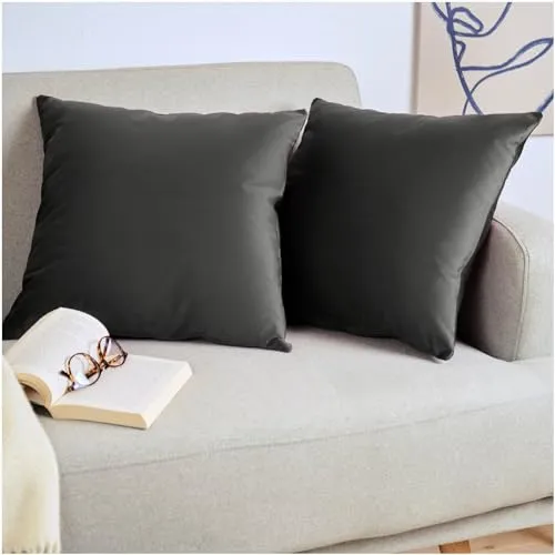 Blumtal 2er Set Kissenbezug 30x50 cm Anthrazit - dekorativer Samt Kissenbezug mit verstecktem Reißverschluss, Kissenhülle für Zierkissen Deko-Kissen Polster Sofakissen & Couchkissen, waschbar