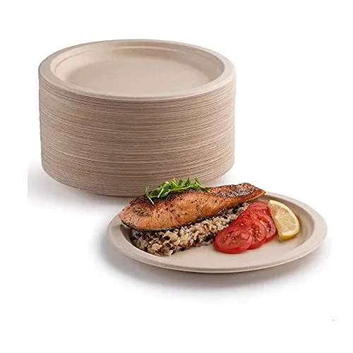 pappteller, 100 % biologisch abbaubar kompostierbar umweltfreundlicher strapazierfähiger recycelbarer Essteller Teller Einwegteller aus Pappe für Picknicks Grillabende Einweggeschirr(22,9 cm) 50 x