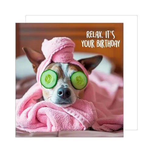 Edition Seidel Premium quadratische Geburtstagskarte mit Umschlag. Glückwunschkarte Happy Birthday Billet Tier Karte Mann Frau Cooler Hund Humor Lustig (GQ160 SW024)