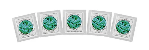 Joghurtferment für Bifido Joghurt – 5 Beutel gefriergetrockneter Starterkulturen