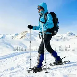 vidaXL 3 in 1 Schneeschuhe mit Wanderstöcken – Silber und Schwarz