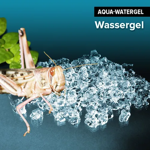 fertiges Wassergel Festes Wasser Watergel Reptilien & Spinnen & Insekten 1000 ml
