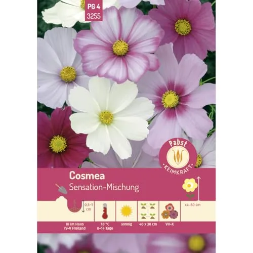 Pabst Keimkraft - Cosmea Sensation-Mischung Samen - 173255