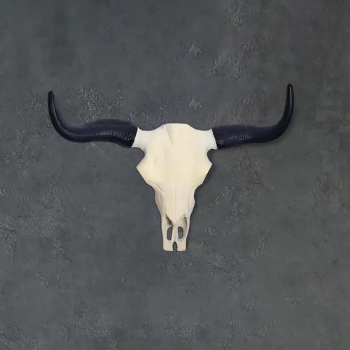 FineBuy Deko Geweih Büffel Schädel 55,5 cm - Sonstige Wanddekoration mit hochwertigem Aluminium-Schädel und detailreichen Hörnern, ideal für ein außergewöhnliches Jagdambiente in deinem Zuhause.