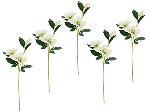 Flair Flower Helleborus Christrosenzweig 5er Set Kunstblume Seidenblumen Floristik Einzelblume Stielblume Einzelzweig Stiel Kunst-Stielblume Dekoblume Blumen Blumendeko,021114CR,Creme,57x12x5 cm