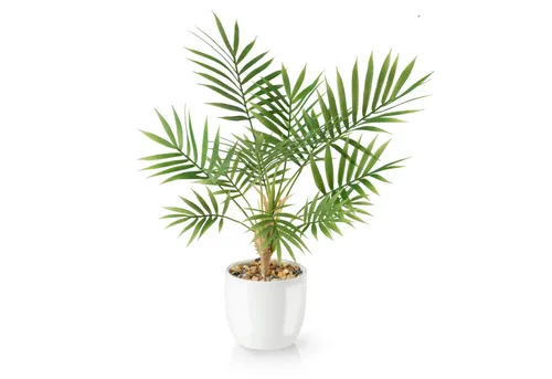 Kunstpflanze Tropische Kunstpflanzen wie echt in weißen Keramiktöpfen, Kunstpflanze Tropische Kunstpflanzen (u.a. Monstera & Areca Palmen), PASCH, Höhe 35 cm