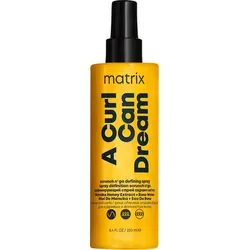 Matrix A Curl Can Dream Scrunch N' Go Defining Spray für Locken und welliges Haar (250 ml)