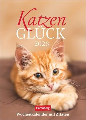 Katzenglück Wochenkalender 2026 - mit Zitaten - Wochenkalender mit süßen Katzenfotos und inspirierenden Zitaten, perfekt für Katzenliebhaber und als dekorativer Blickfang für Ihr Zuhause.
