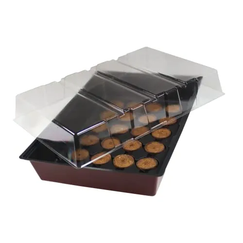 Windhager Zimmer-Gewächshaus MAXI Fensterbank-Treibhaus Pflanzen-Anzucht inkl. 24 Quelltabs, terracotta / anthrazit, 23,5 x 35 x 11 cm