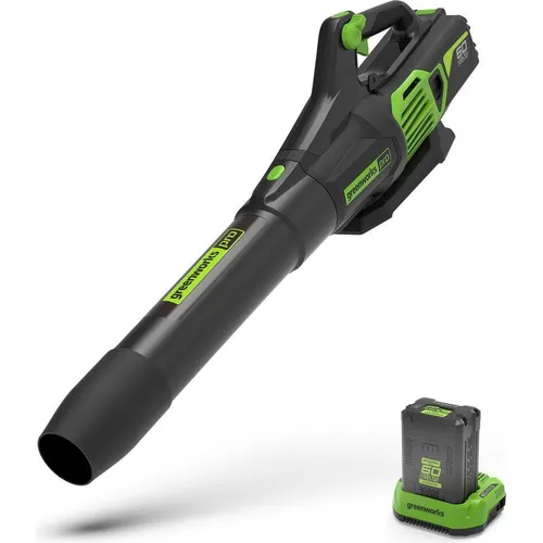 Produktbild Greenworks GD60AB Akku-Laubbläser