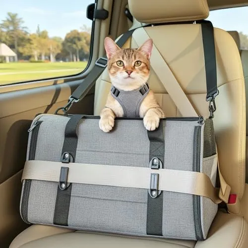 Petsfit Transportbox für Katzen – Faltbare Haustiertasche bis 5 kg mit Netzfenstern