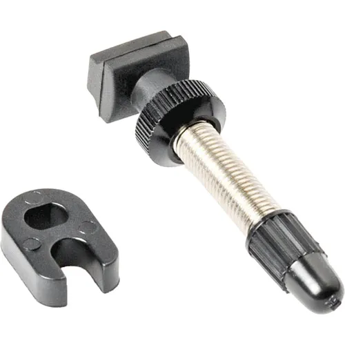 DT Swiss Tubeless Ventil (TVVXA32S25873S)