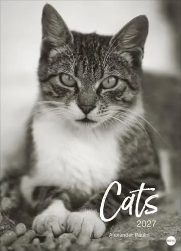 Alexander Paulin | Cats Edition Kalender 2027 von Heye