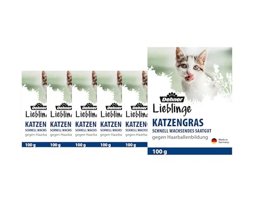 Dehner Lieblinge Saatgut Katzengras, 6 Stück (600 g)
