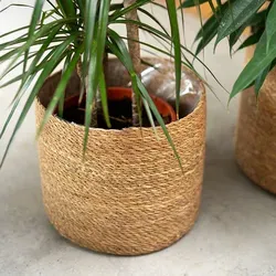 Blumentöpfe & Pflanzgefäße Beige von Daro Deko