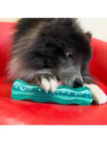 KONG Dog Toy Squeezz Dental Stick Medium 19cm von Kong