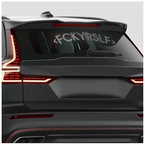 Finest Folia Frontscheibenaufkleber Fckyrslf Schriftzug für Auto Frontscheibe Aufkleber Heckscheibe Windschutzscheibe Sticker Tuning Fahrzeug Dekor FS145 (Mittelgrau, Innenklebend)