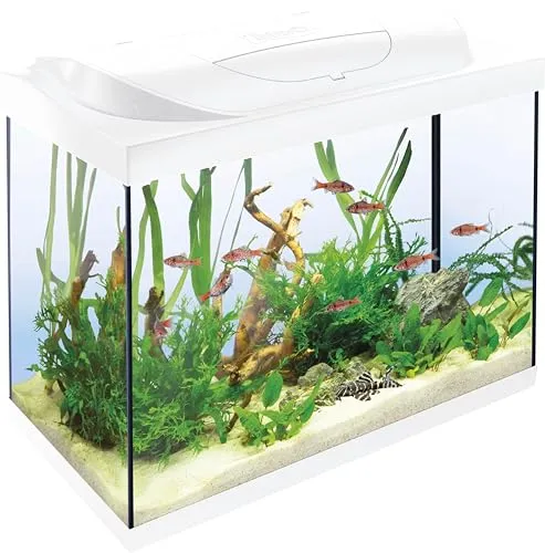 Tetra Aquarium Starter Line LED 80 L weiß von Tetra