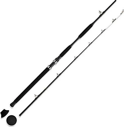 WFT Wallerrute Never Crack Bank Cat 2,70m - Jakub Vagner Edition - Angelruten für Welsangeln vom Ufer mit unzerstörbarem Design und extrem belastbar. Ideal für Profis und robust genug für den Dauereinsatz.