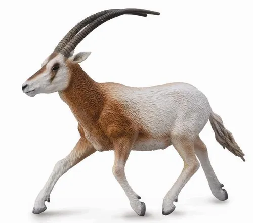 Oryxgazelle