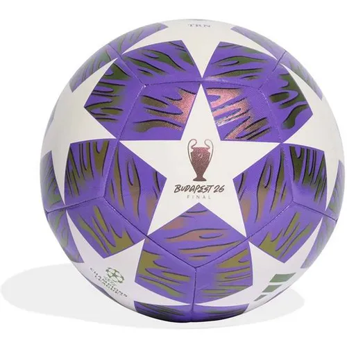 adidas UCL TRN F Fußball – Größe 5 in panton-white - Hochwertiger Trainingsball mit robuster maschinengenähter Konstruktion; bietet optimalen Ballkontakt und Langlebigkeit für intensives Training.